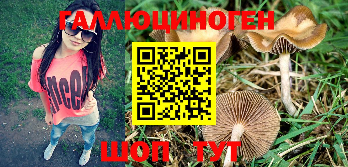 Галлюциногенные грибы прущие грибы Добрянка