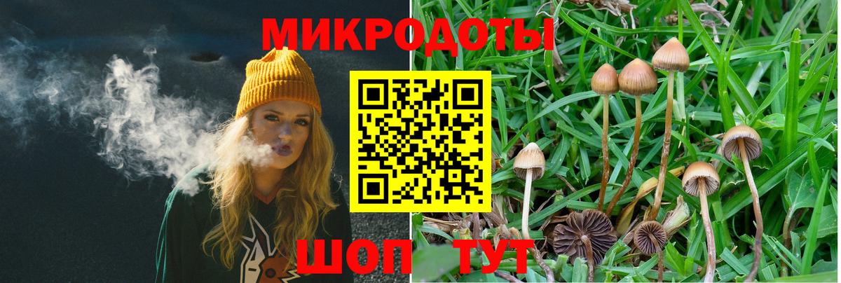 Добрянка  Псилоцибиновые грибы ЛСД  Вход с VPN 